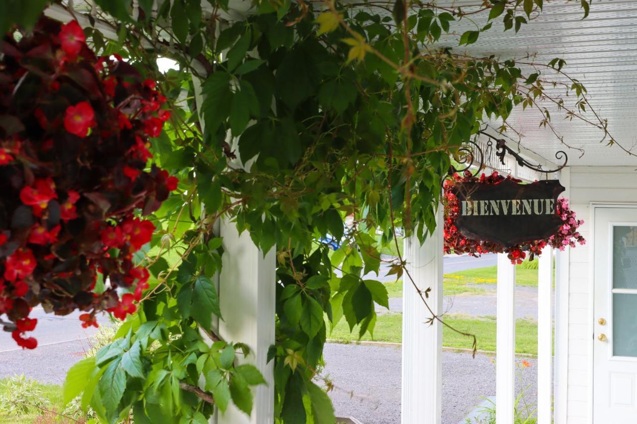 Bed & Breakfast, Gite La Princesse Des Champs Saint-Jean-de-Boischâtel Buitenkant foto